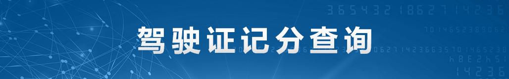 交通违法信息查询